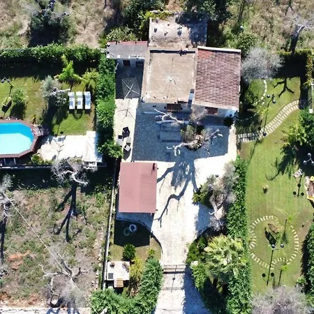 Piana - Con Piscina E Giardino Privato Nel Salento 特里卡塞